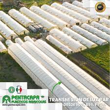 PLASTICO PENTACAPA P/INVERNADERO MED. 6,2 x m
