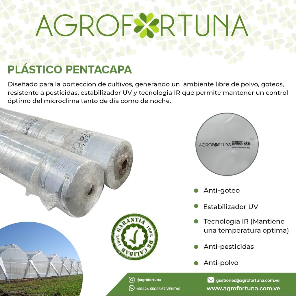 PLASTICO PENTACAPA P/INVERNADERO MED. 6,20*100Mtrs