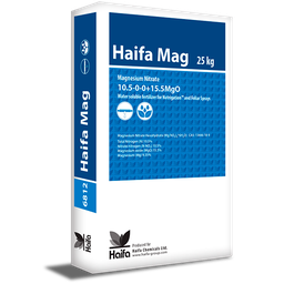 HAIFA MAG 10,5-0-0+15,5 saco de 25 Kilos